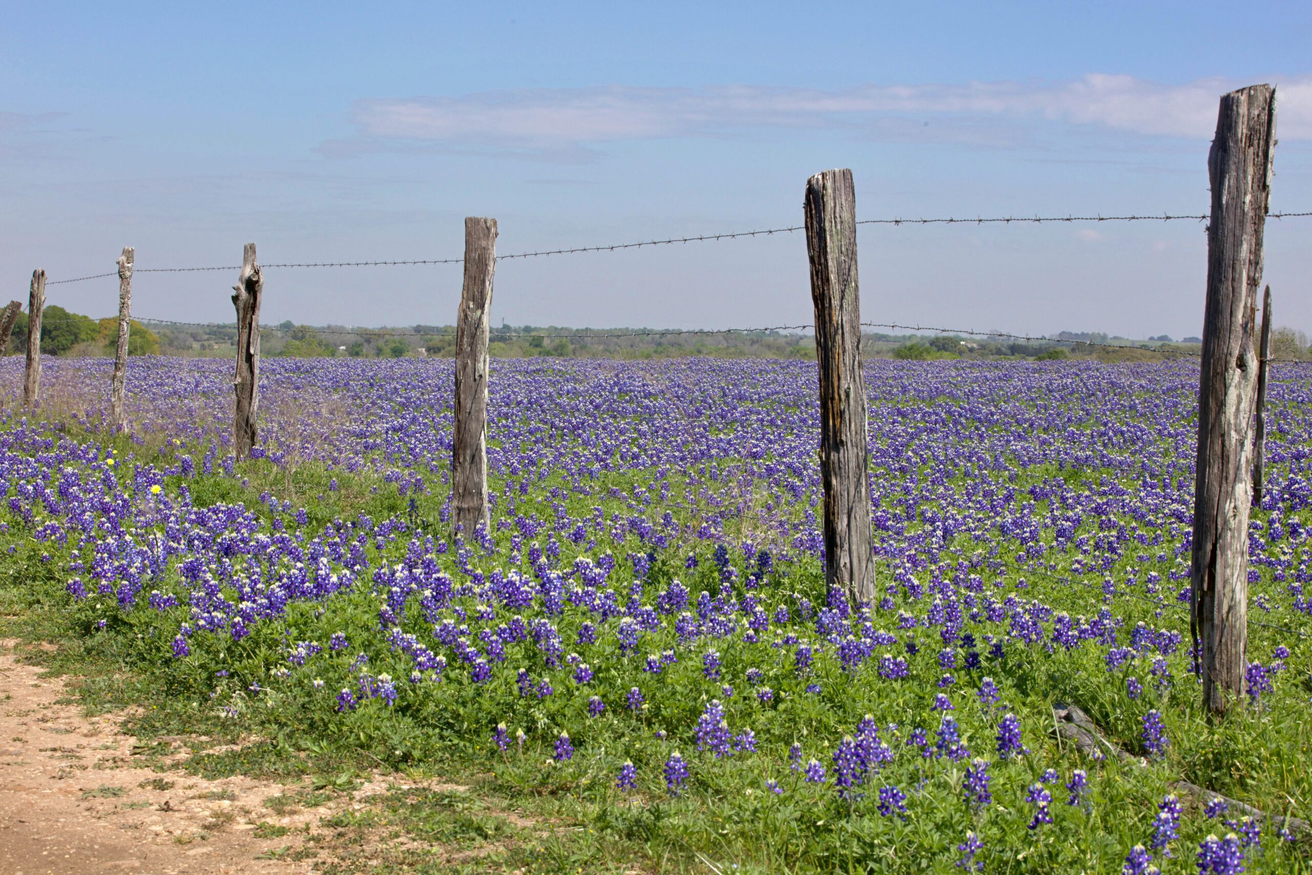 Wilson County, TX - TLB